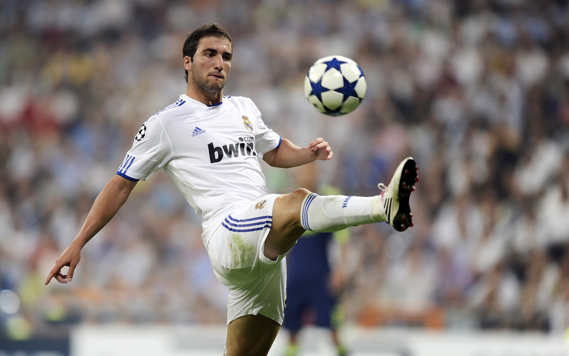 kaiyun sports app-伊朗骑手卡尔·阿里·阿尔达比在巴黎奥运会上与“Porthos Maestro WH Z”马匹携手参赛，表现出色。